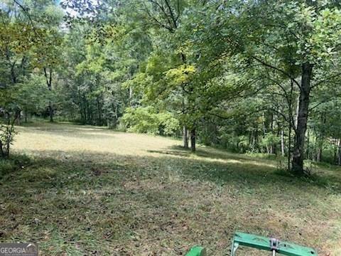 Blairsville, GA 30512,LOTS 6&7 Chickasaw LN