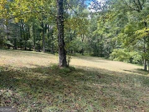 Blairsville, GA 30512,LOTS 6&7 Chickasaw LN