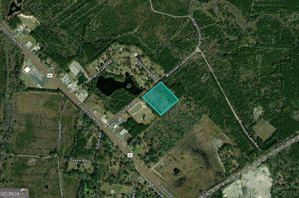 Hinesville, GA 31313,6.18 ACRES McIntosh Lake RD