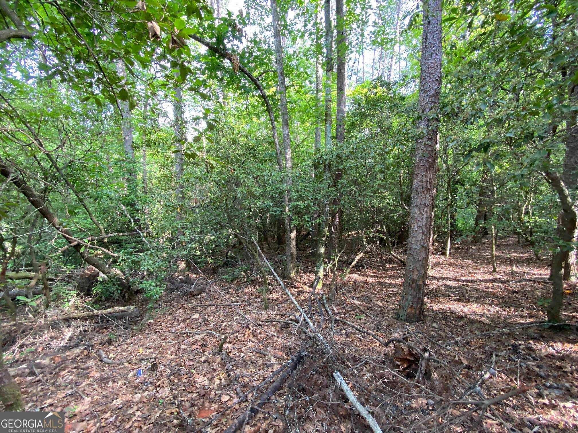 Sautee Nacoochee, GA 30571,0 Sara LN #LOT 6