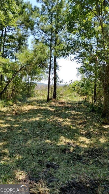 Townsend, GA 31331,0 Briar Patch Lot #10 PL