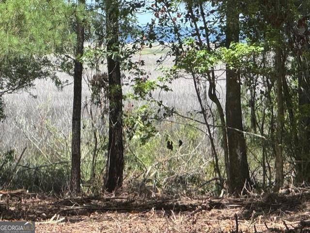 Townsend, GA 31331,0 Briar Patch Lot #16 PL