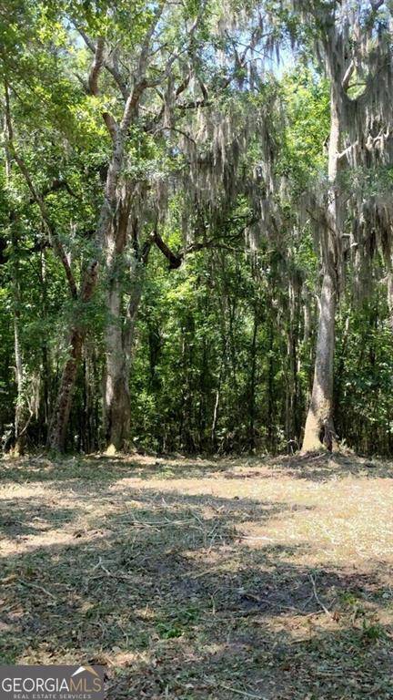 Townsend, GA 31331,0 N Briar Patch Lot #18 PL