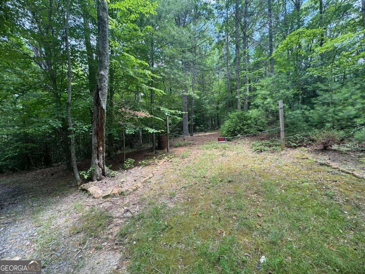 Murphy, NC 28906,LOT 1 Laurelwood CIR