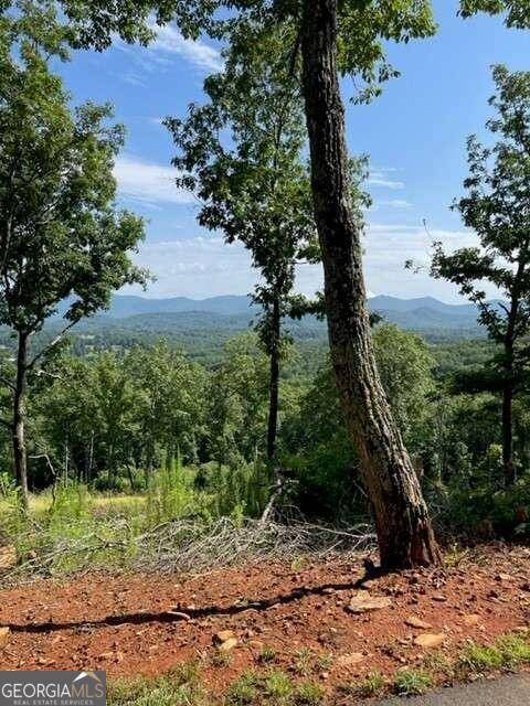 Blairsville, GA 30512,LOTS 116/117 Highland Park