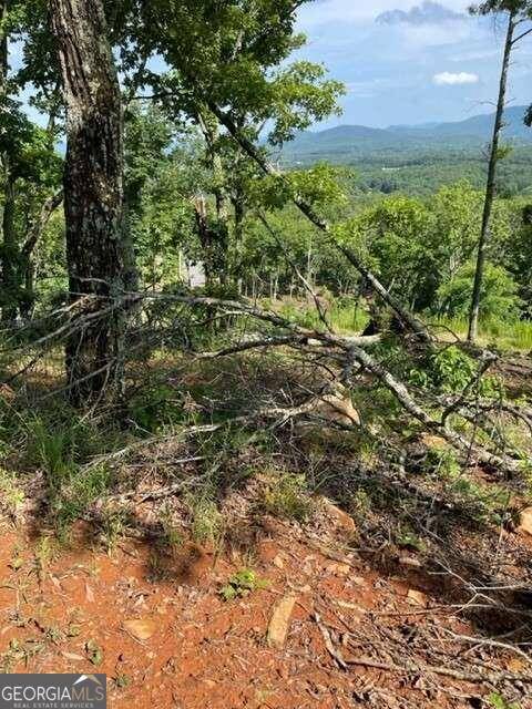 Blairsville, GA 30512,LOTS 116/117 Highland Park