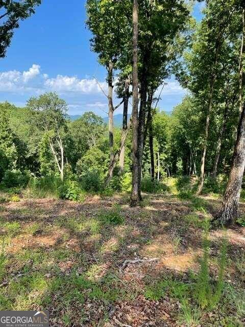 Blairsville, GA 30512,LOT 119 Highland Park