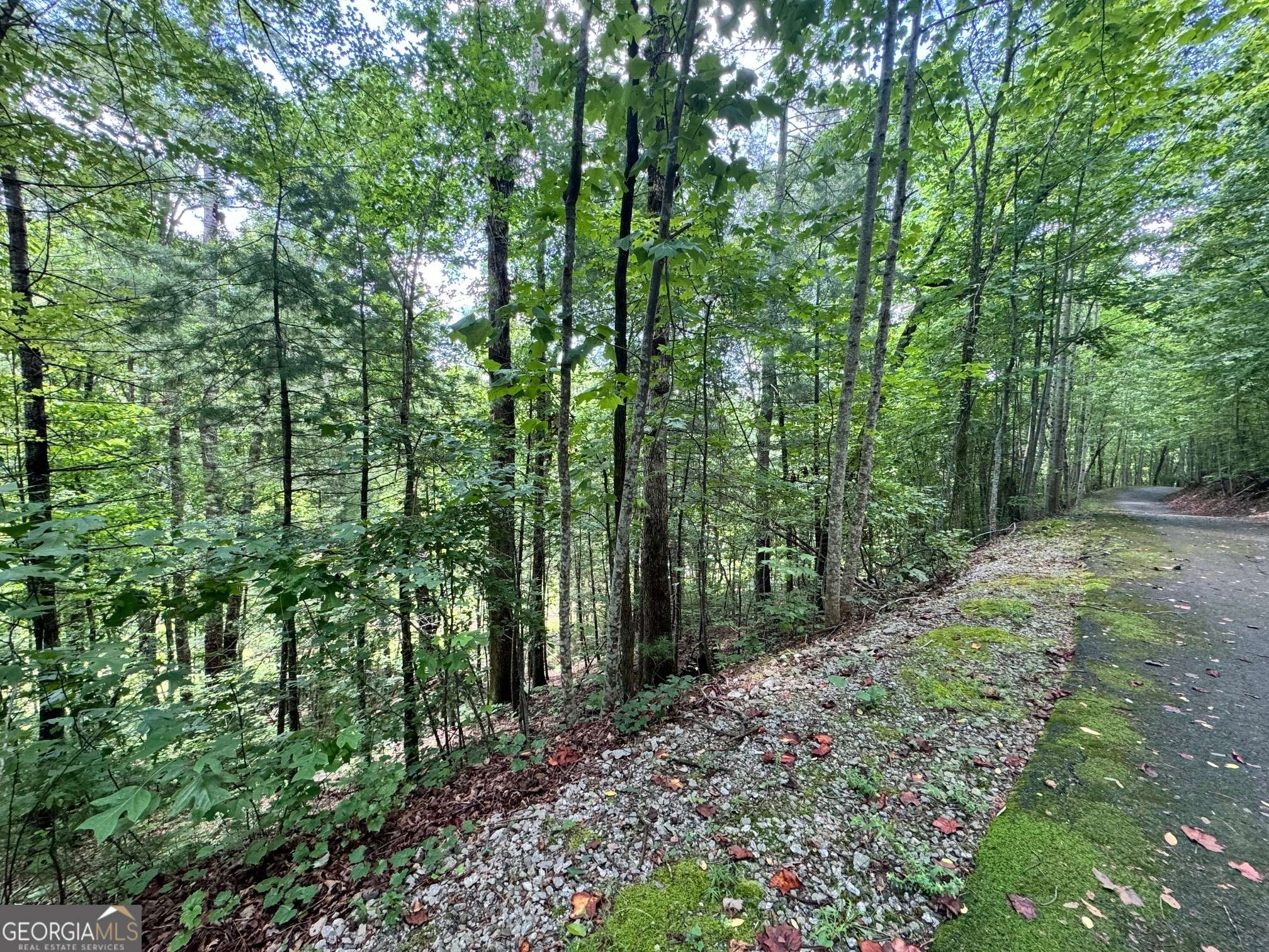 Clayton, GA 30525,LOT 102 Kingwood Court LN