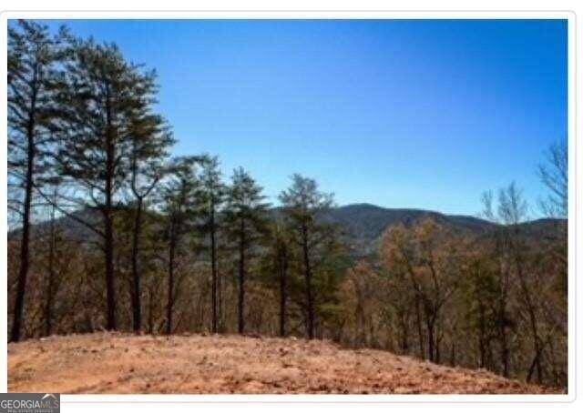 Blue Ridge, GA 30513,0 Clearview Mountain