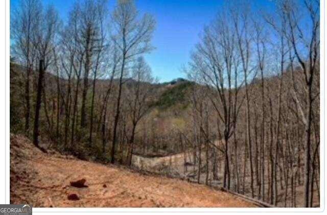 Blue Ridge, GA 30513,0 Clearview Mountain