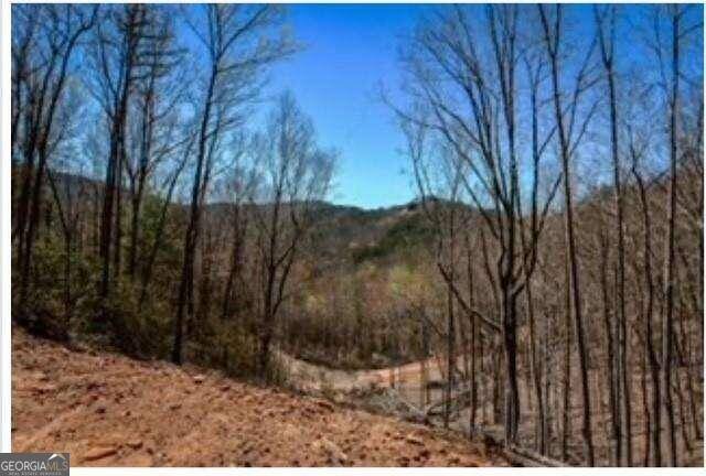 Blue Ridge, GA 30513,0 Clearview Mountain