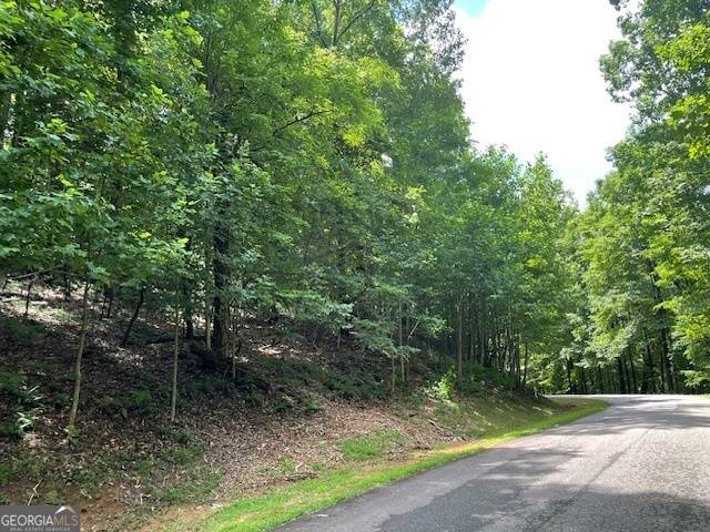 Cleveland, GA 30528,LOT #61 Mountainside DR