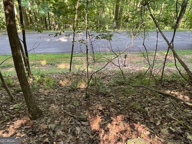 Cleveland, GA 30528,LOT #61 Mountainside DR