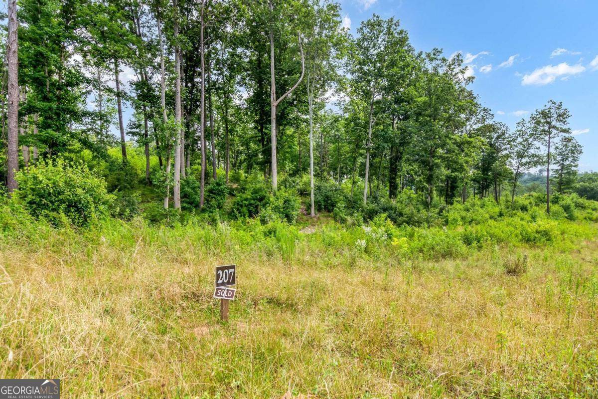 Talking Rock, GA 30175,LOT 207 Oak Park Dr