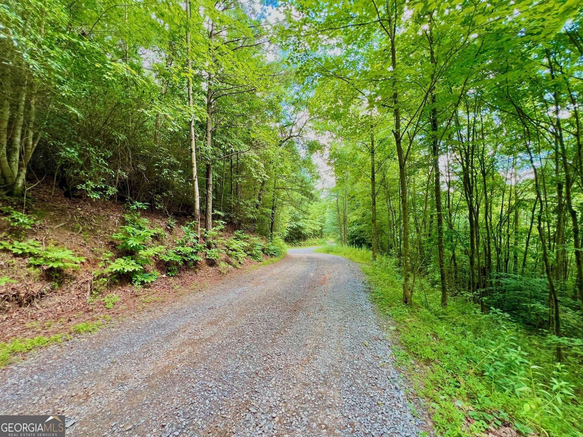 Ellijay, GA 30540,00 Bryant Farm LN