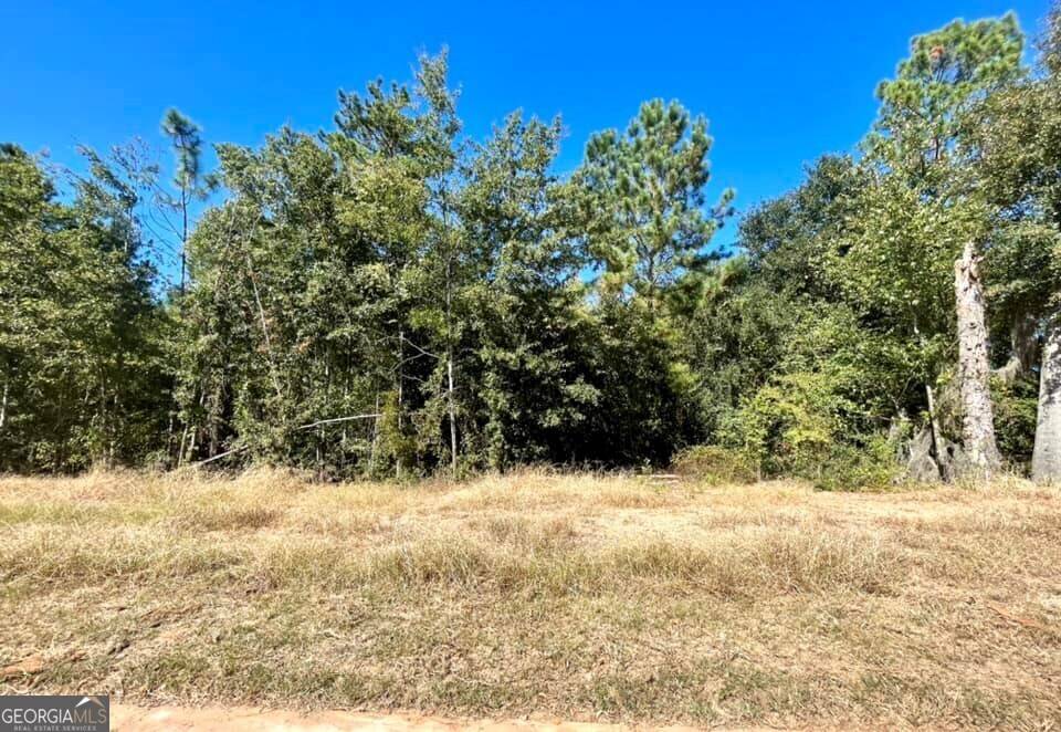 Dublin, GA 31021,00A Hillcrest Parkway