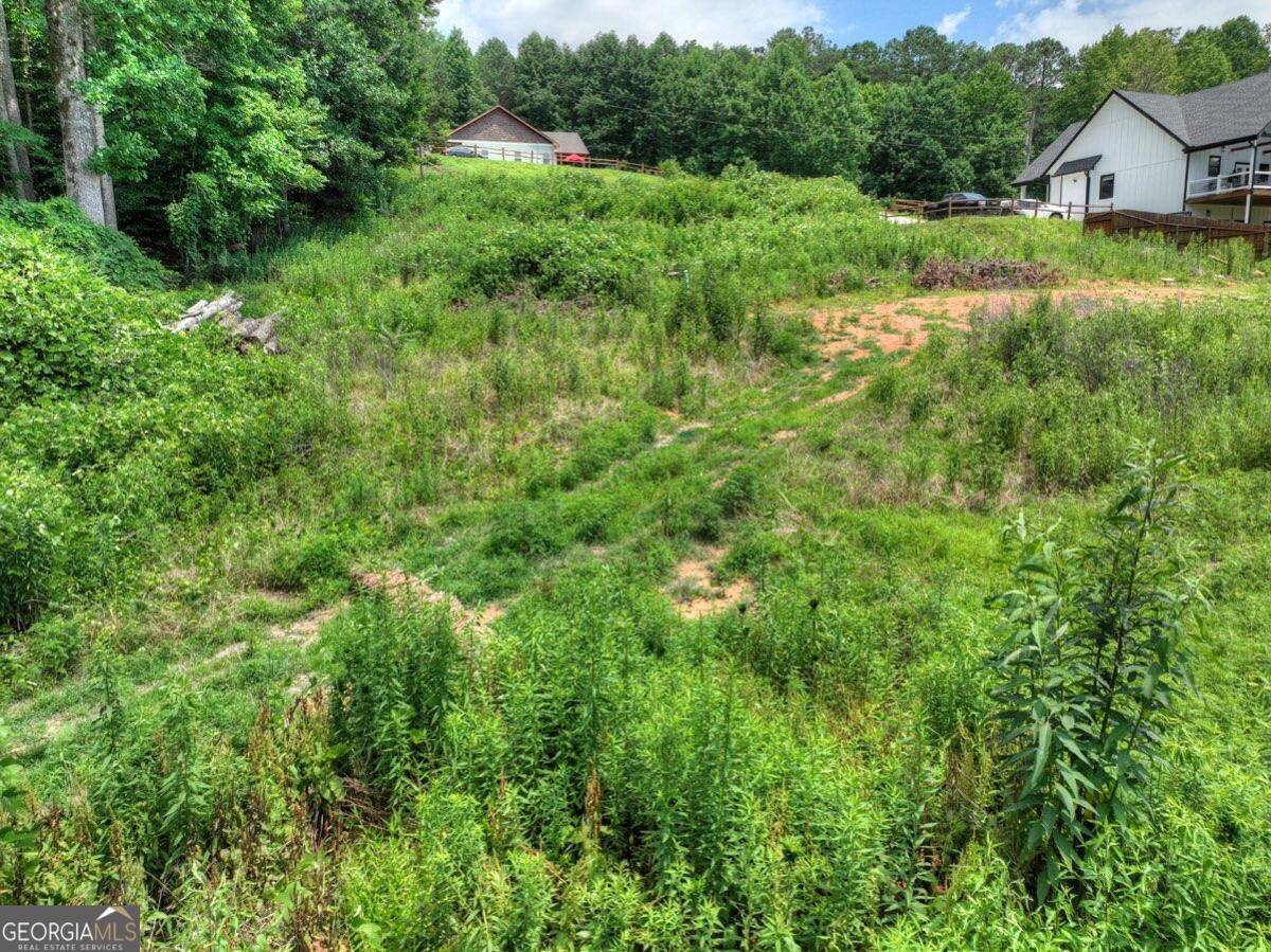 Ellijay, GA 30540,LOT 7 Mountain TRCE