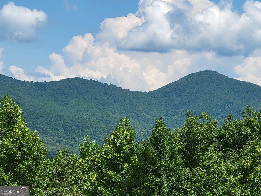 Blairsville, GA 30512,LOT 149 The Mountain