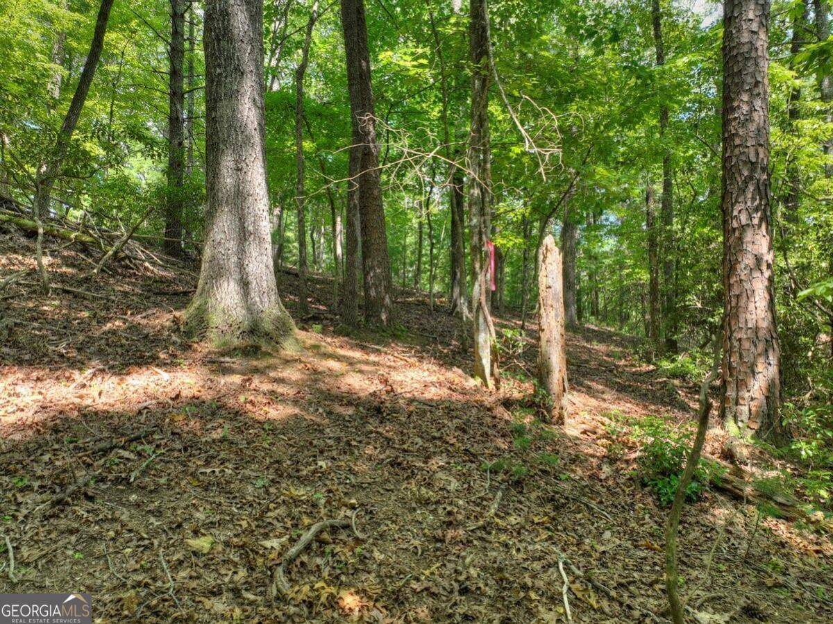 Ellijay, GA 30540,LOT 337 Tunica LN