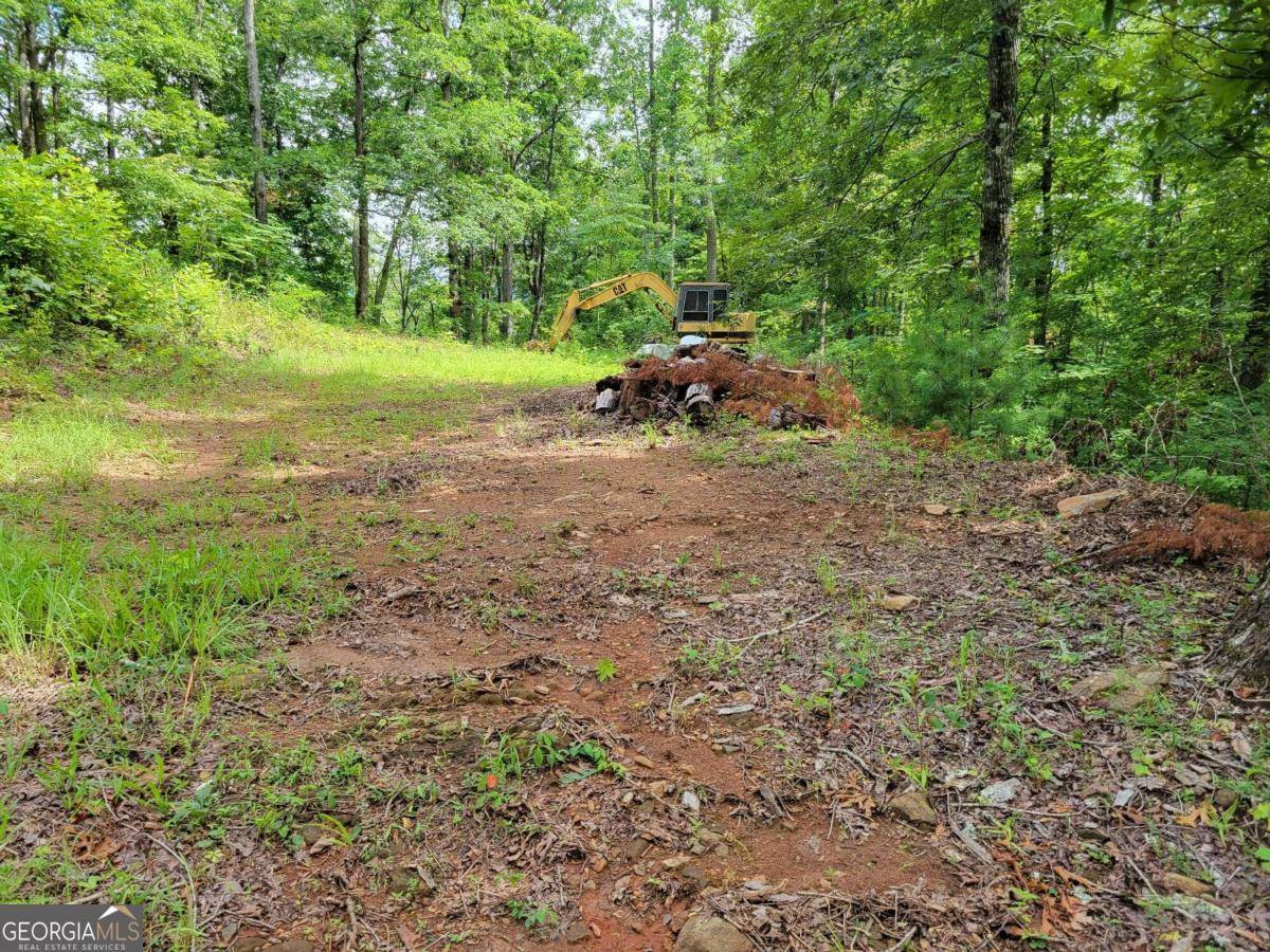 Hiawassee, GA 30546,LOT 4 Rainbow Ridge