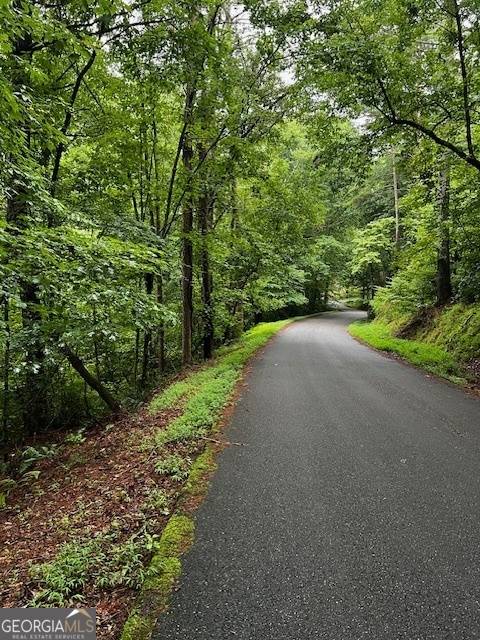 Ellijay, GA 30540,LOT 288 Etowah Dr DR