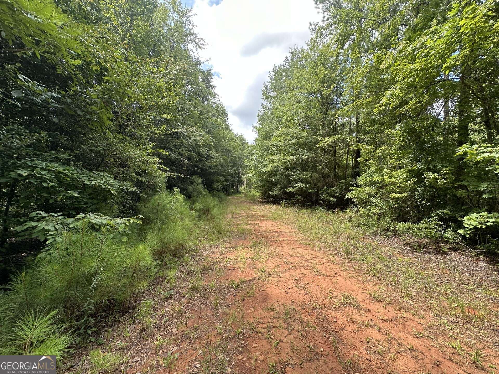 Pine Mountain, GA 31882,0 Cold Springs Rd