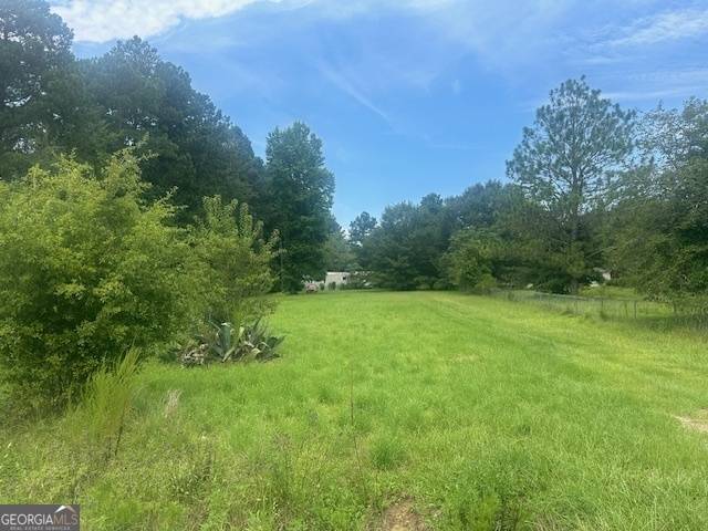 Tennille, GA 31089,1066 Joiner RD