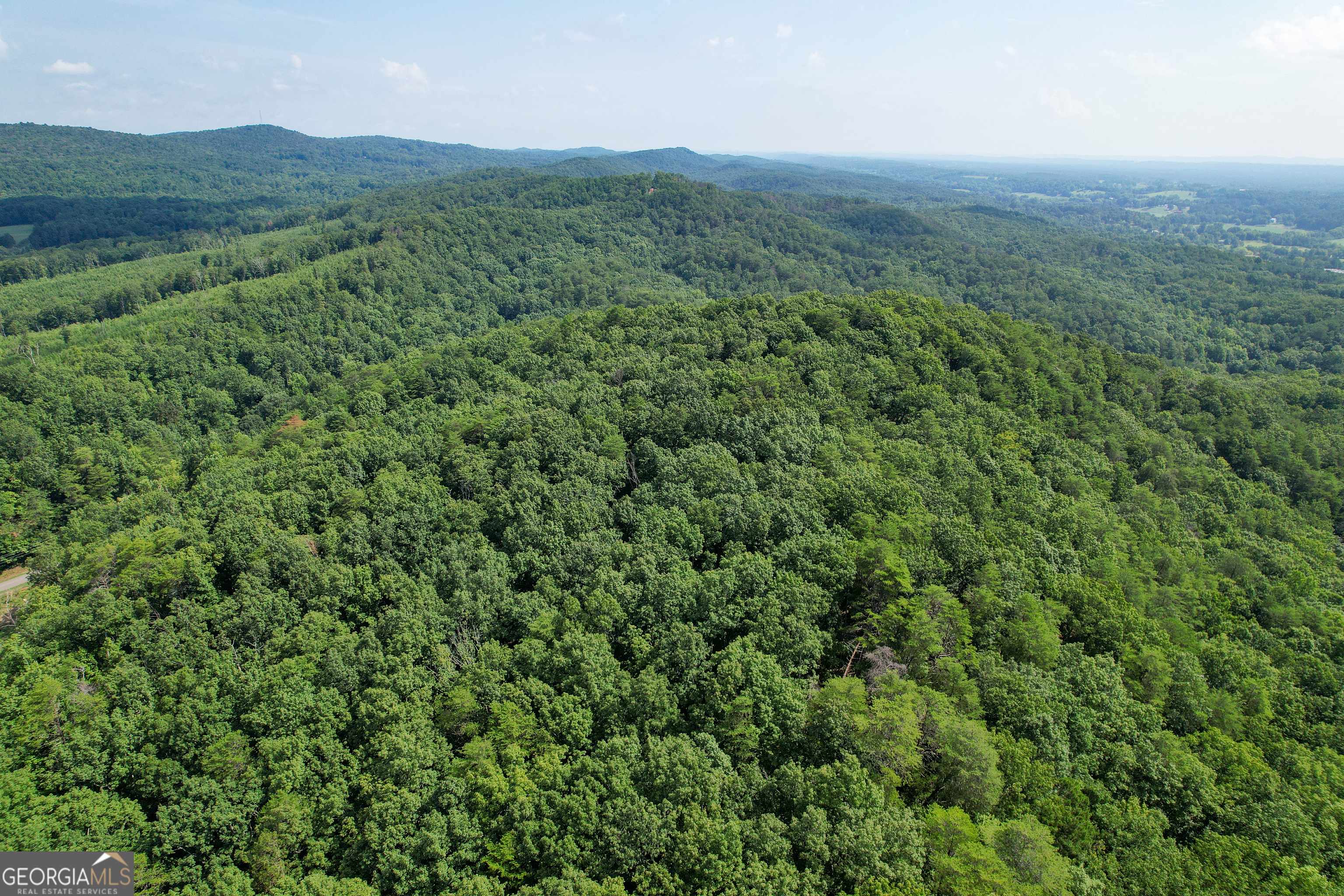 Lafayette, GA 30728,39 +/- Acres on Shinbone Ridge Rd.