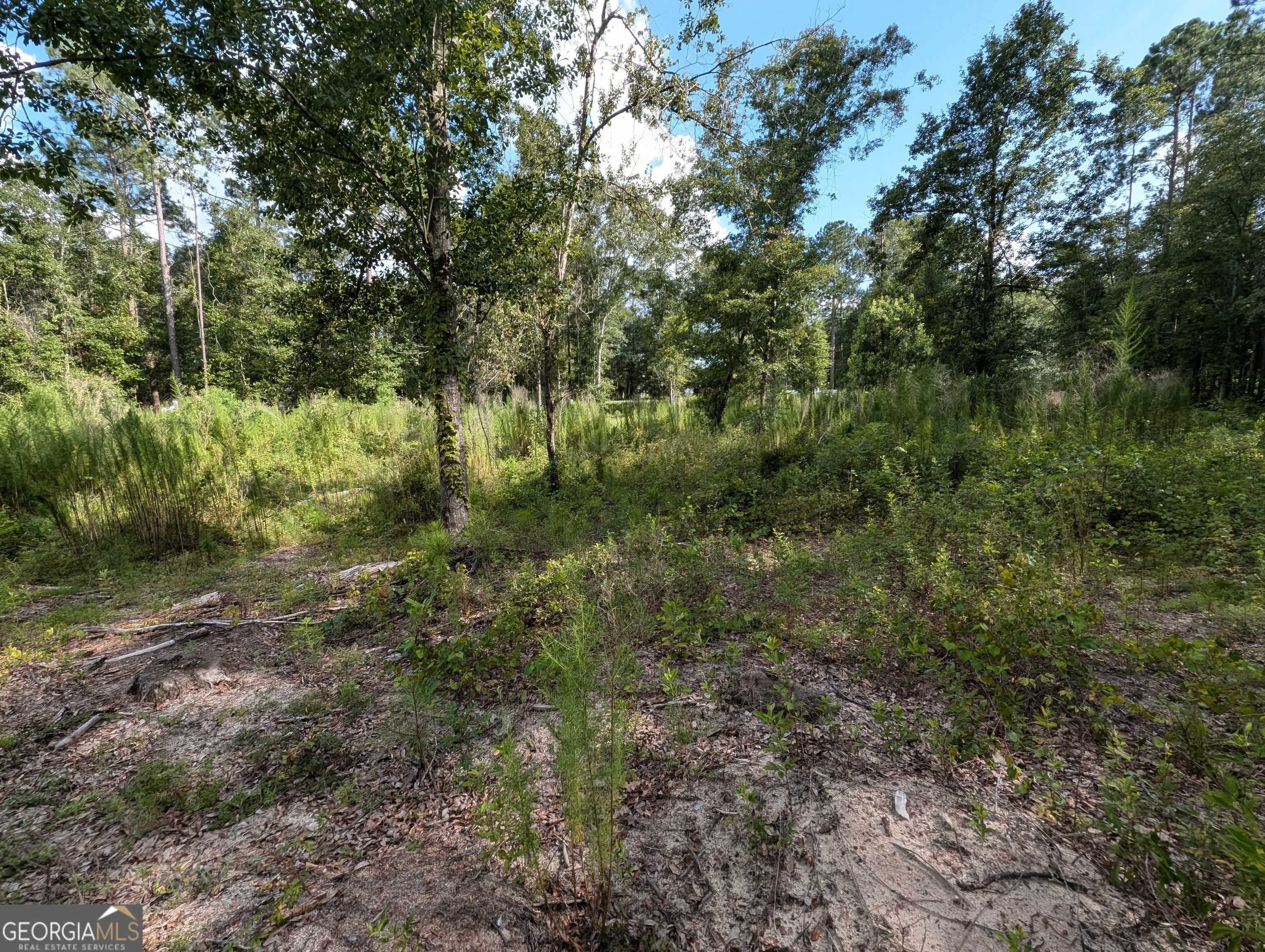 Jesup, GA 31545,LOT 34 Still Waters WAY