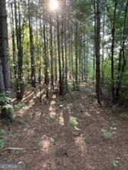 Hampton, GA 30228,600 Hillview TRACT 1 RD