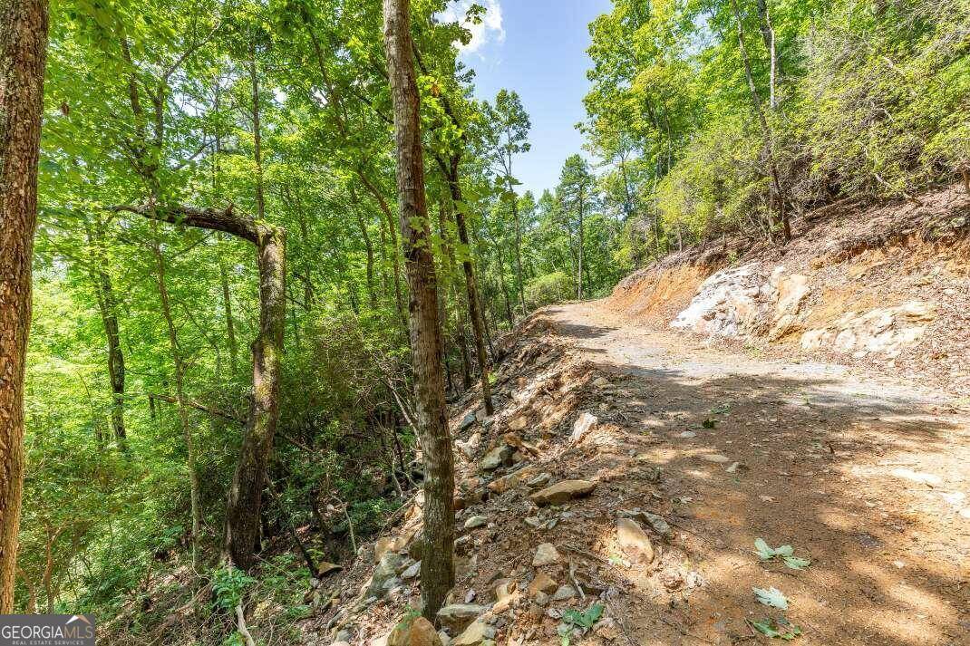 Epworth, GA 30541,LOT 7 Quail Ridge RD