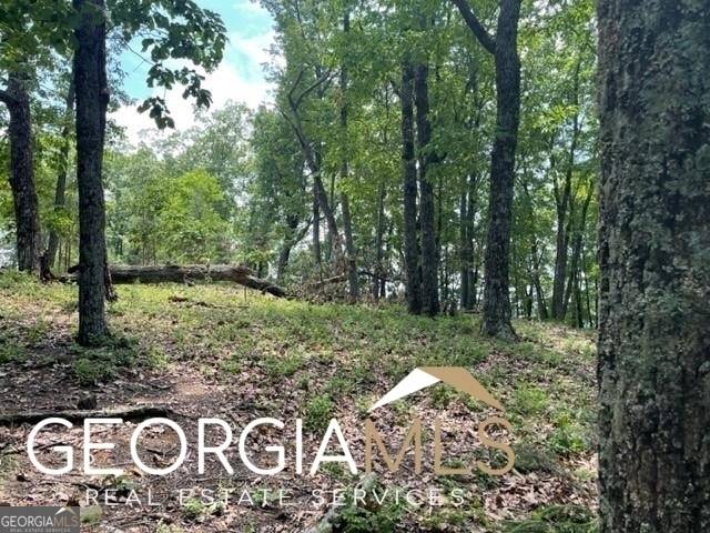 Cleveland, GA 30528,LOT 212 High Rock Trail