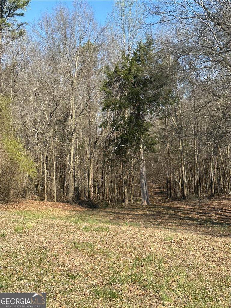 Talmo, GA 30575,LOT 4 Martin RD