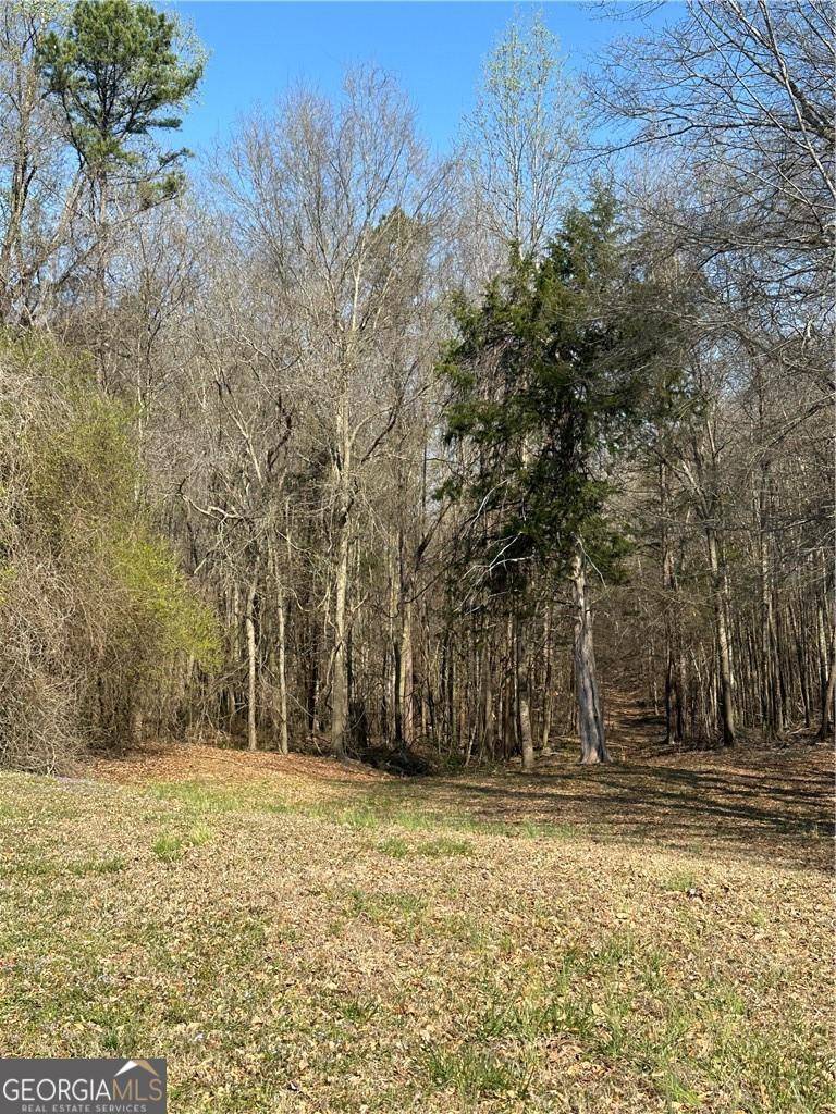 Talmo, GA 30575,LOT 4 Martin RD