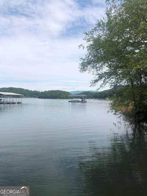 Hiawassee, GA 30546,16 Omega WAY