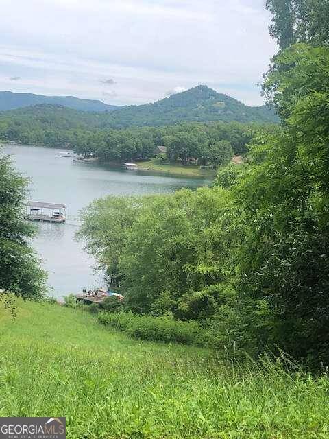 Hiawassee, GA 30546,16 Omega WAY