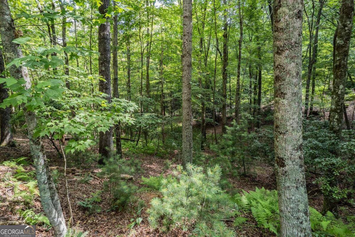 Ellijay, GA 30540,LOT 433 Seneca DR