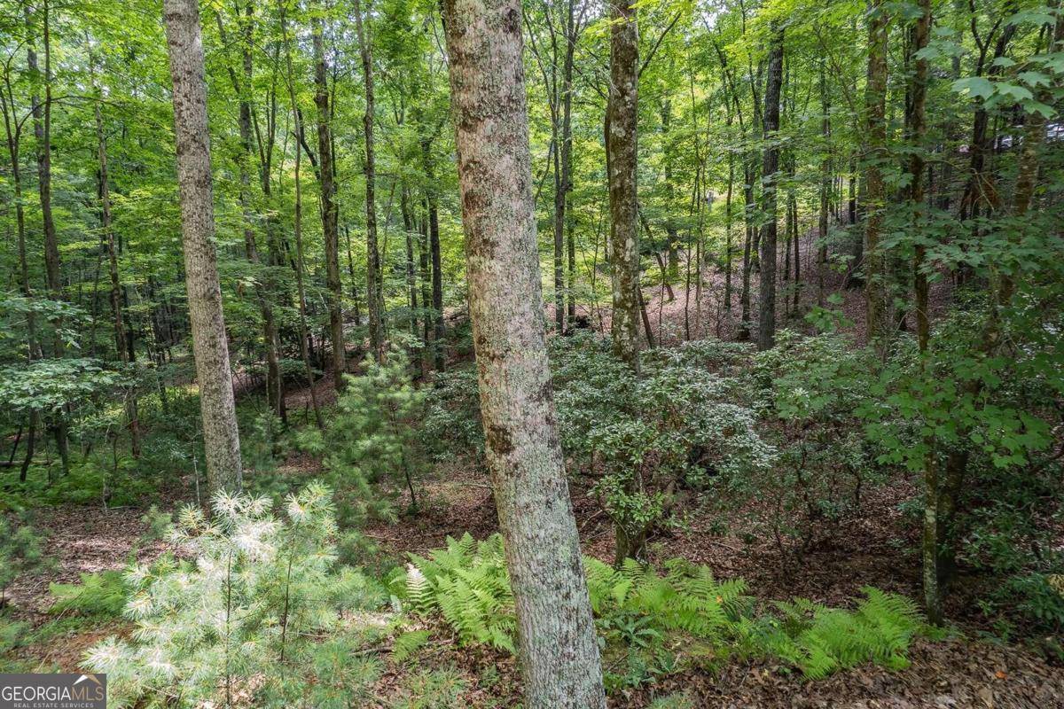 Ellijay, GA 30540,LOT 433 Seneca DR