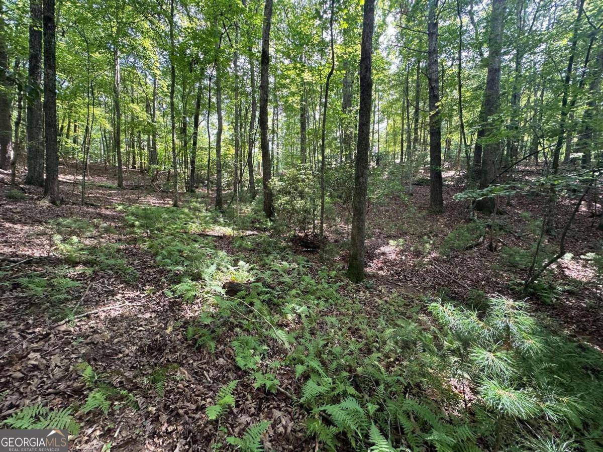 Ellijay, GA 30540,LOT 433 Seneca DR