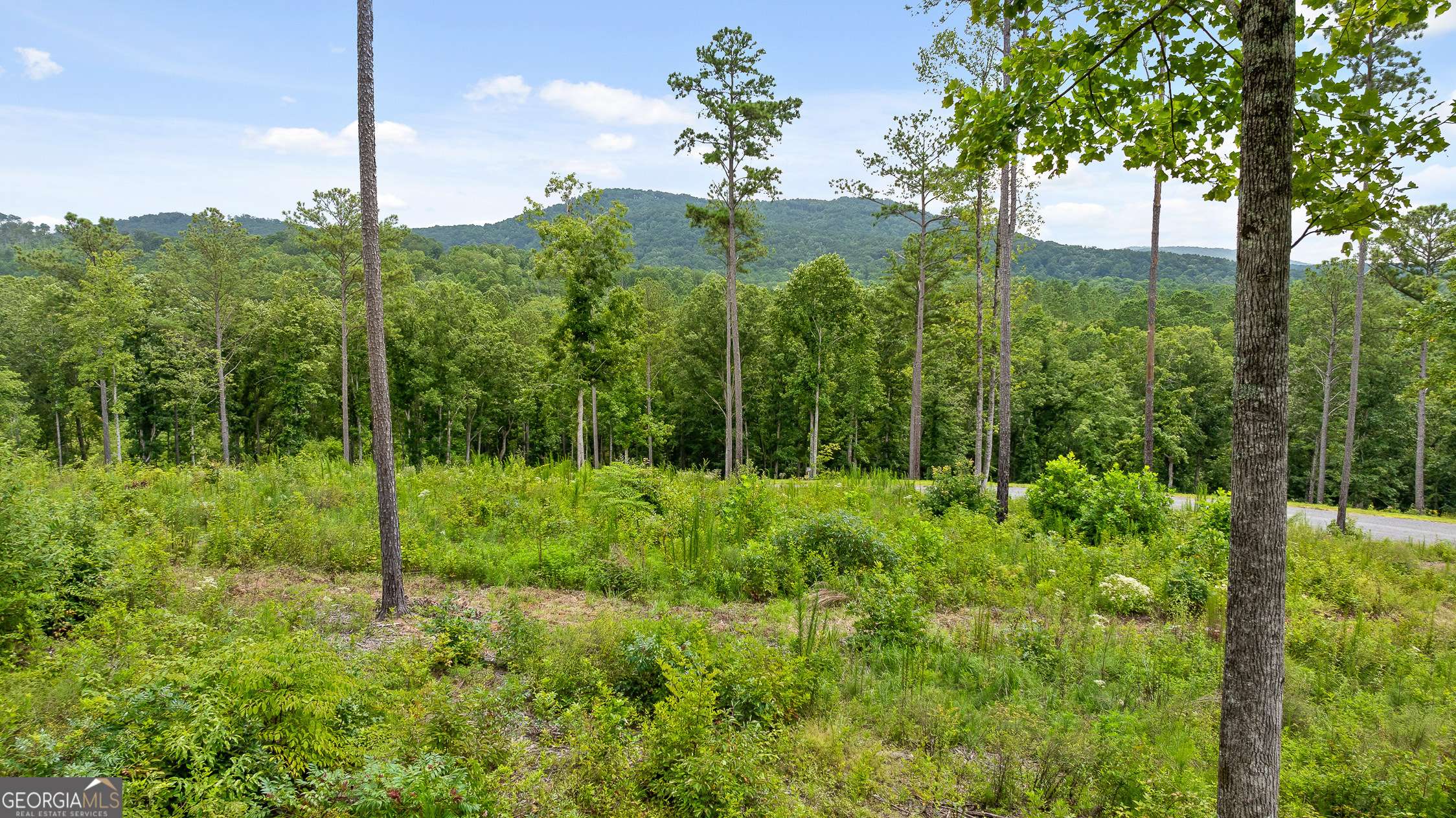 Talking Rock, GA 30175,LOT 345 Timber Creek TRL