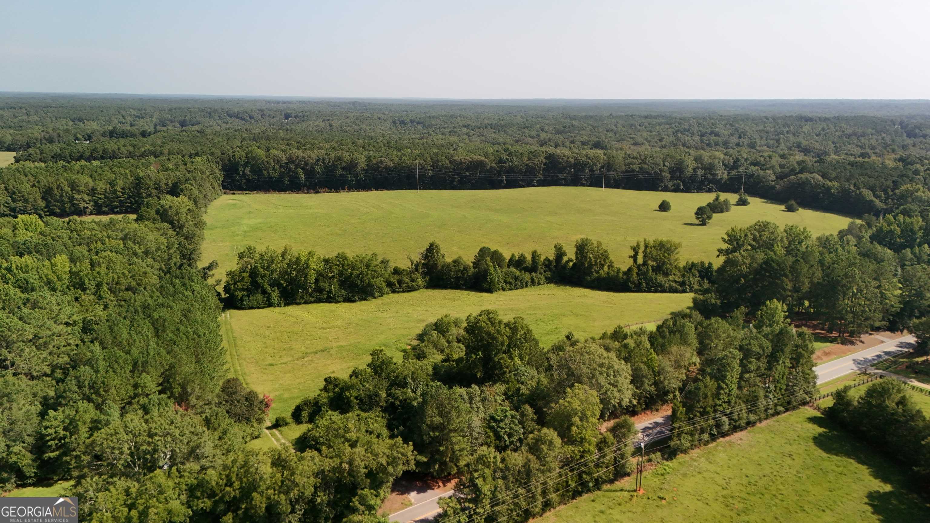 Meansville, GA 30256,0 Highway 109 #43.41 ACRES