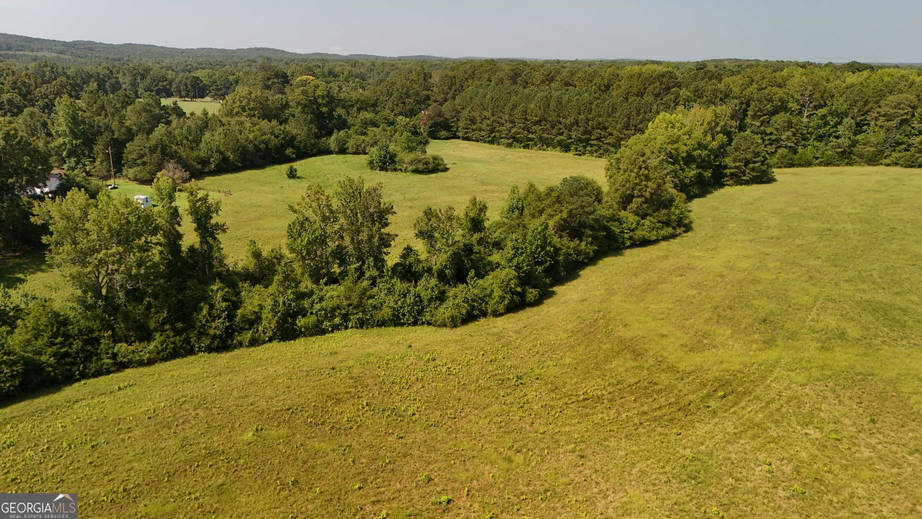 Meansville, GA 30256,0 Highway 109 #43.41 ACRES