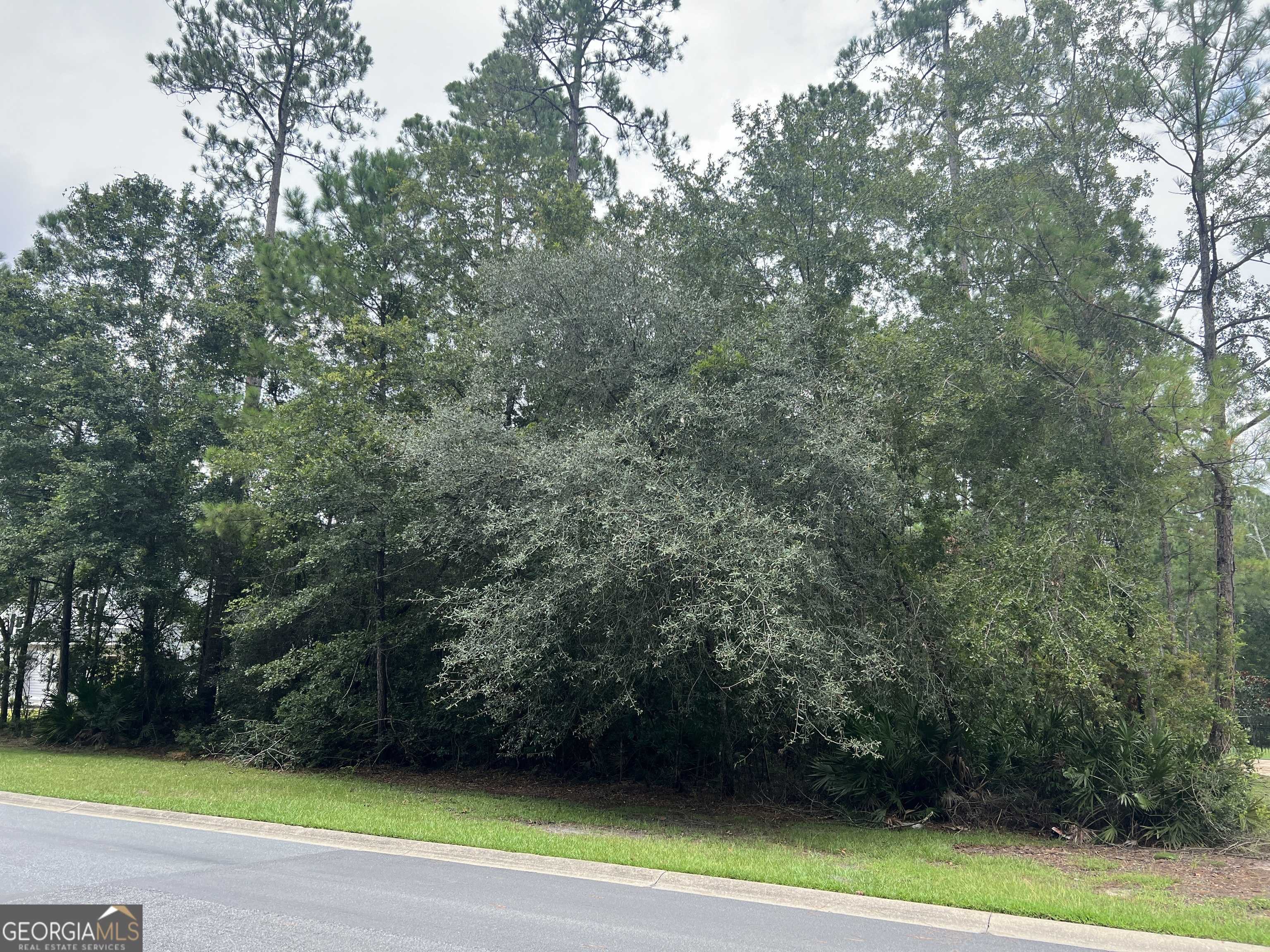 Woodbine, GA 31569,LOT 4 Sunset DR