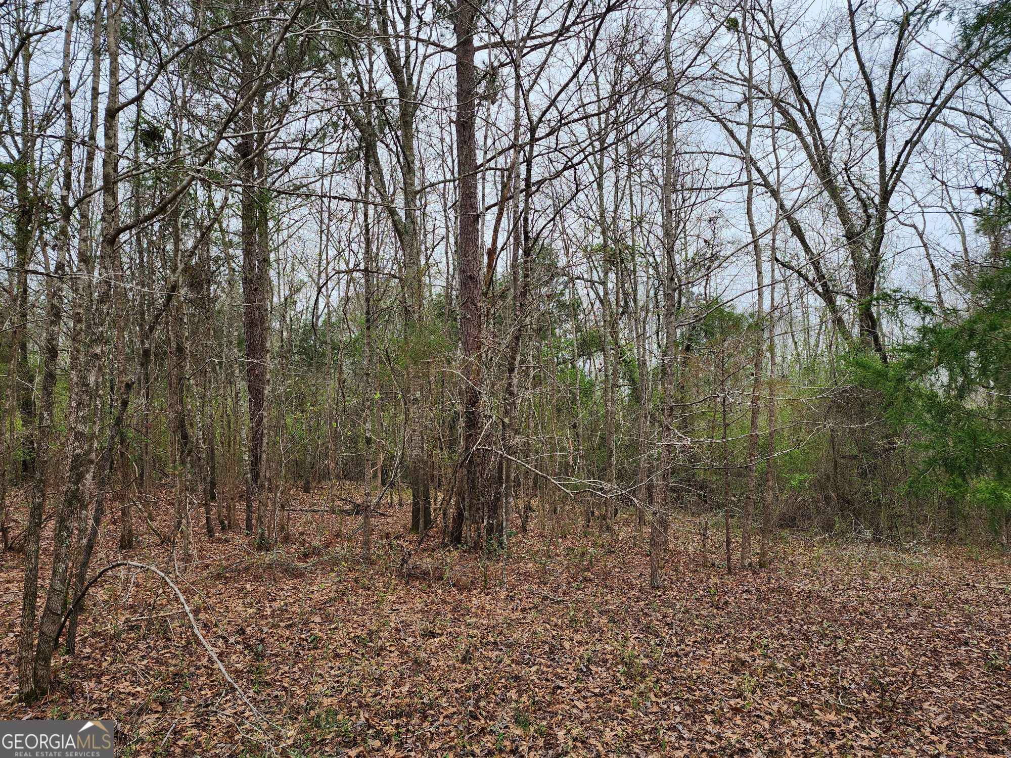 Thomaston, GA 30286,LOT 17 Smith Road