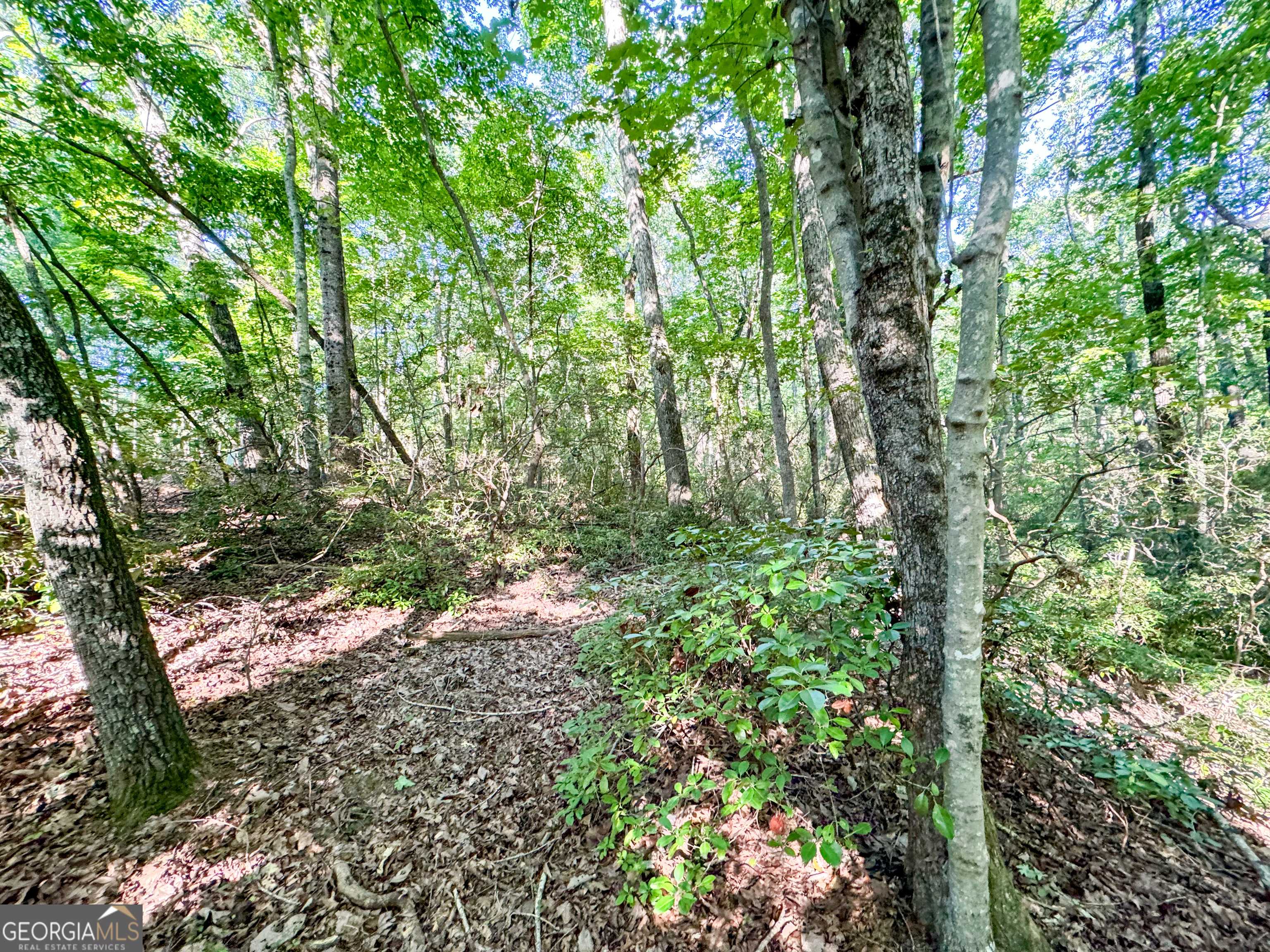 Alto, GA 30510,0 Whippoorwill WAY