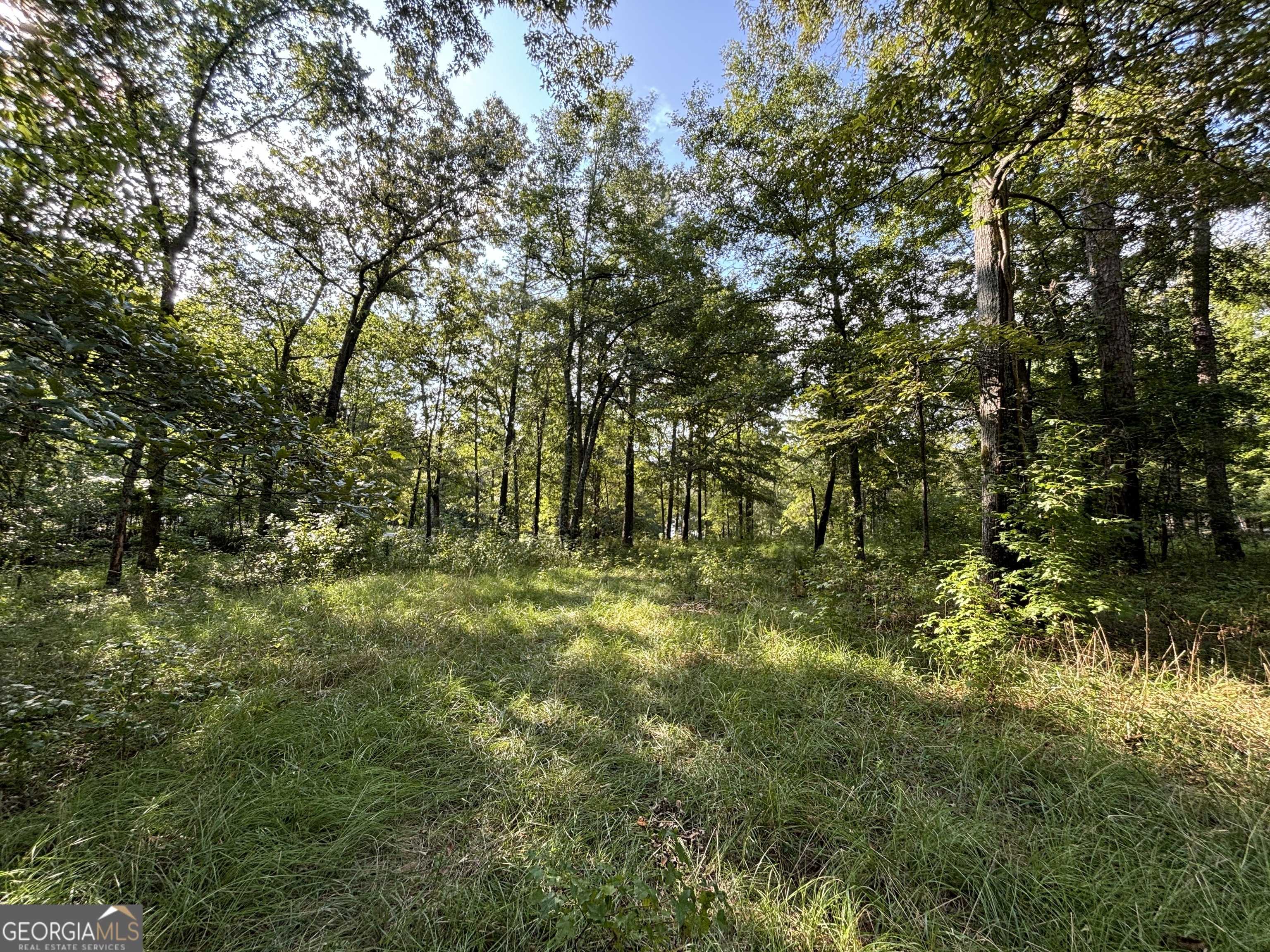 Eatonton, GA 31024,0 Possum Point Dr Lot 2