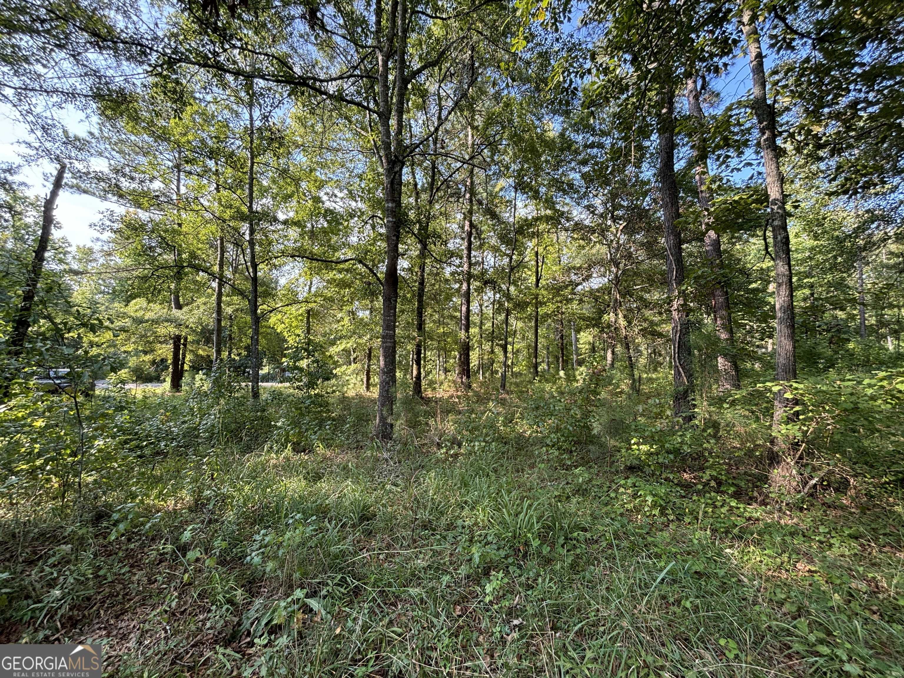 Eatonton, GA 31024,0 Possum Point Dr Lot 2