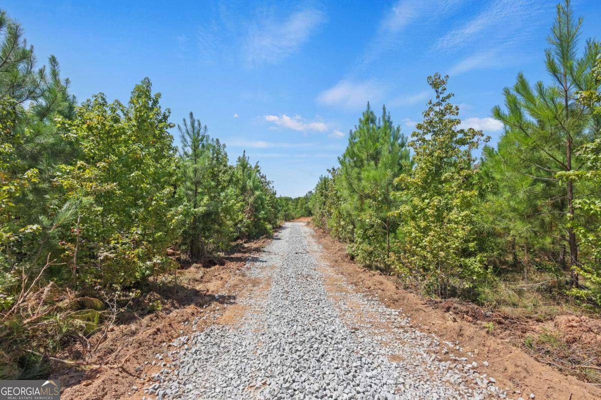 Elberton, GA 30635,LOT 2 Hulmes Chapel RD