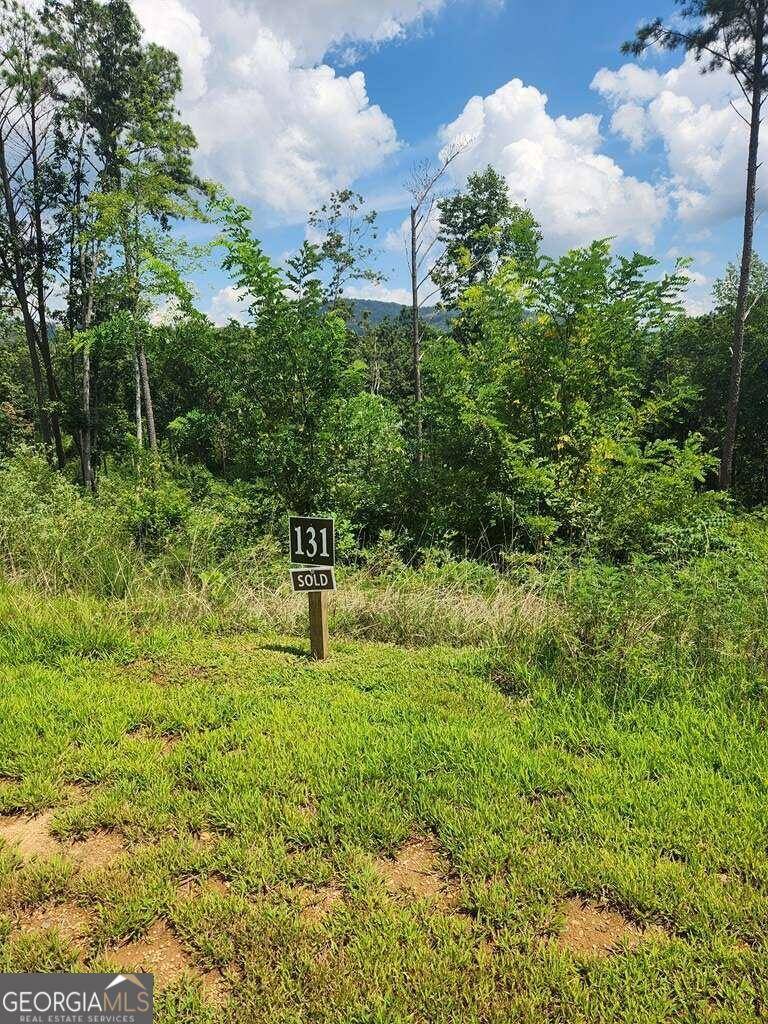 Ellijay, GA 30540,LOT 131 Lot 131 Twisted Oak #131