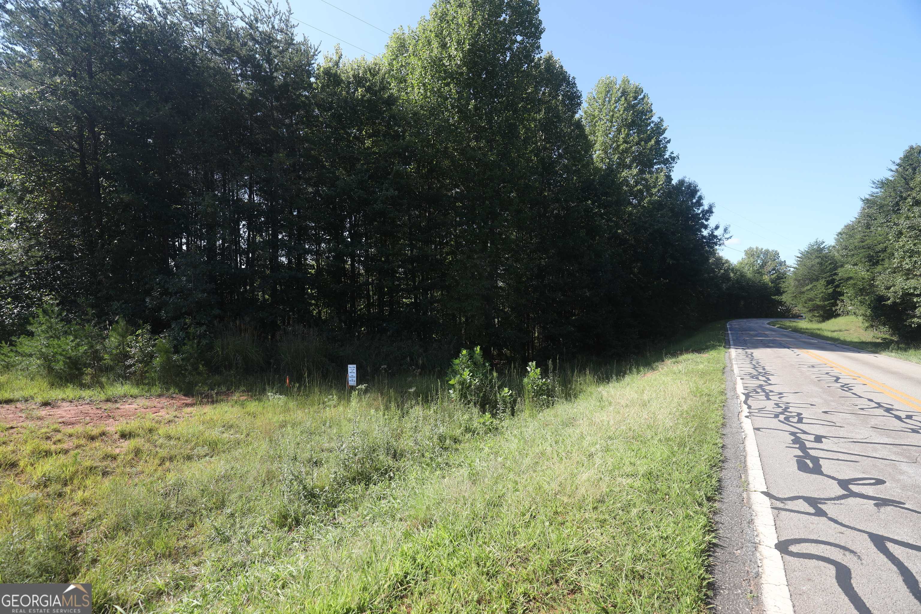 Cleveland, GA 30528,3.05 ACRES truelove rd #TRACT 2